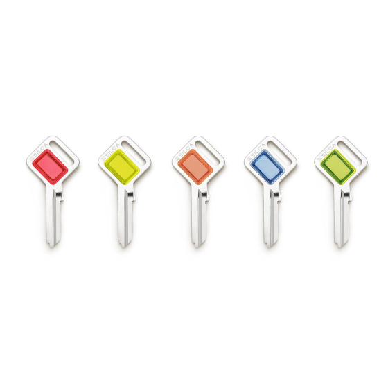 Silca Taggy Schlüssel mit Kunststofffenster zum selbst personalisieren