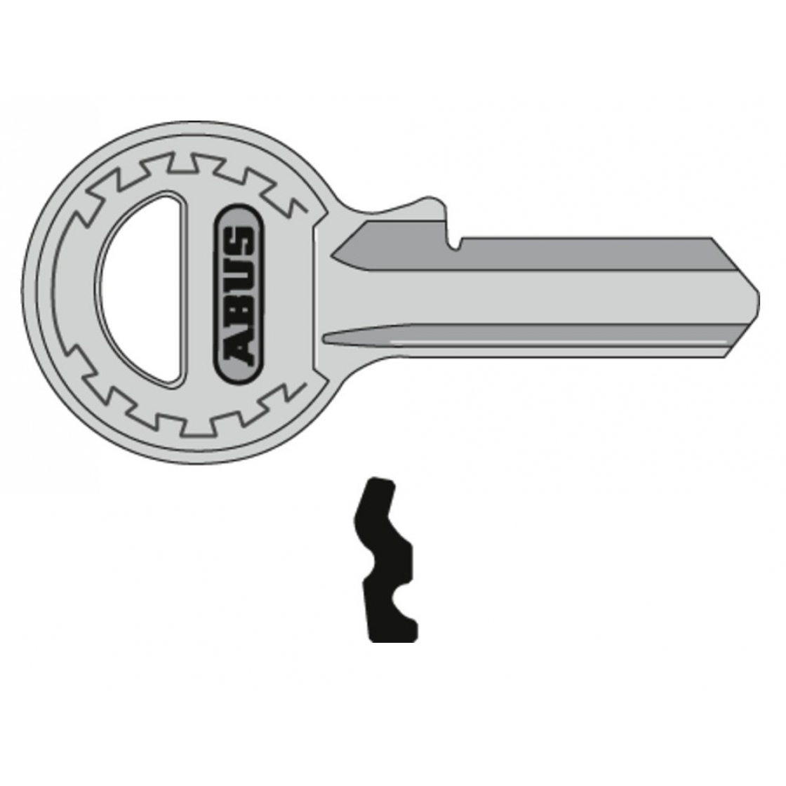 Profile key